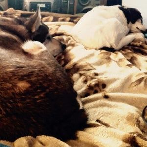 Meet your Posher, Sabrina