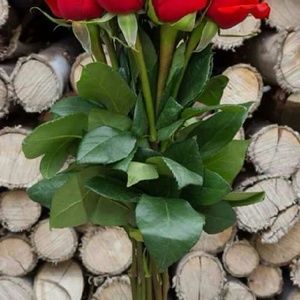 Meet your Posher, Nicky