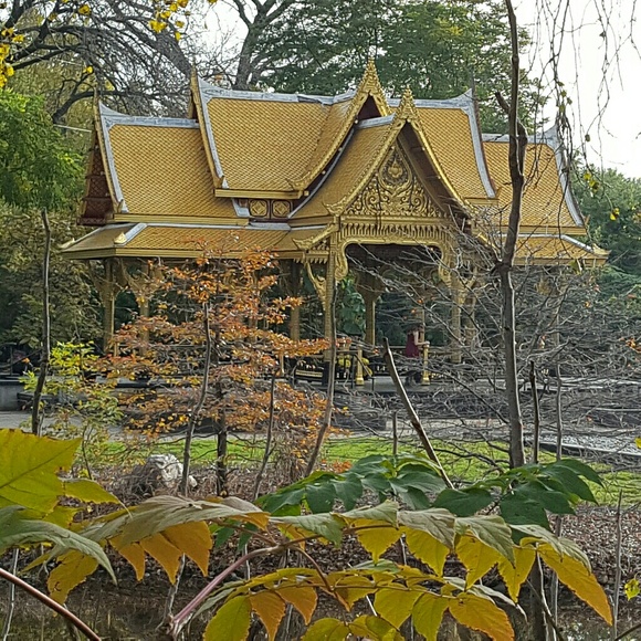 closet closed awhile - Picture 4 of 6