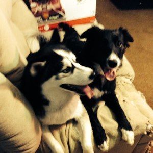 Meet your Posher, Teresa