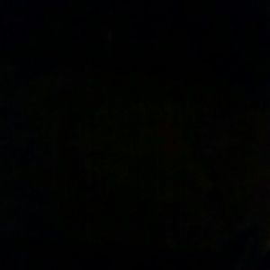 Meet your Posher, Leona