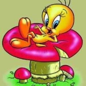 Meet your Posher, Virginia