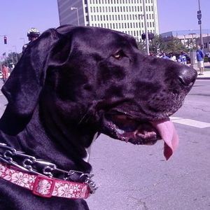 Meet your Posher, Kim