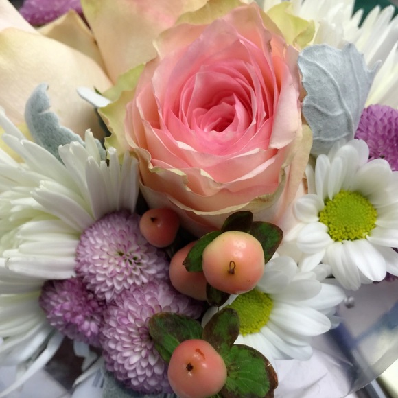 Meet your Posher, Kim - Picture 1 of 1