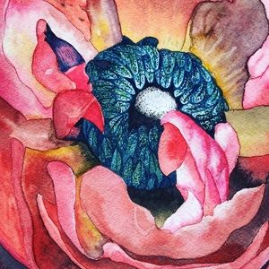 Meet your Posher, Caroline