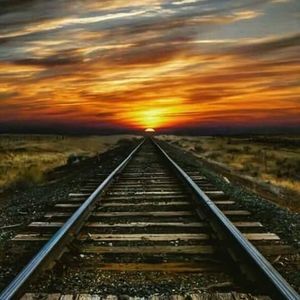 Meet your Posher, Janice