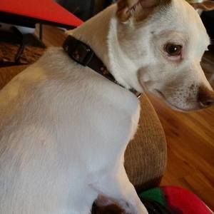 Meet your Posher, Paula