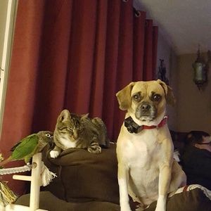 Meet your Posher, Lisa