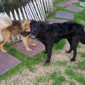 Meet your Posher, Deb