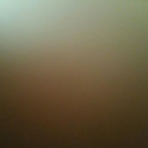 Meet your Posher, Freda