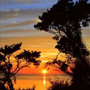 Meet your Posher, Kaye