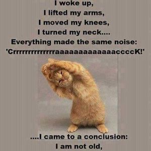 Meet your Posher, Suvaree