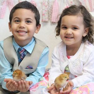 Meet your Posher, Jordan