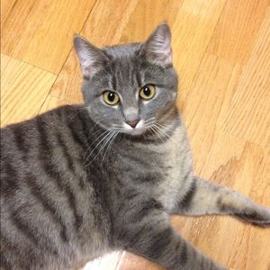 Meet your Posher, Lea ann