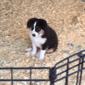 Meet your Posher, Chloe