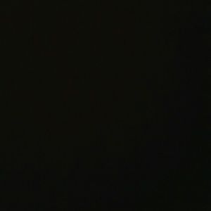 Meet your Posher, Lacey