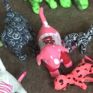 Pink dog