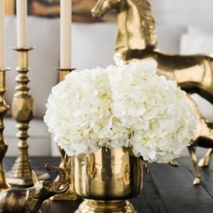 Meet your Posher, Ls