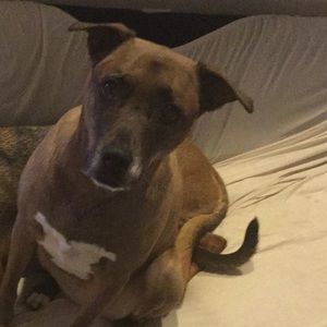 Meet your Posher, Eda