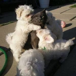 Meet your Posher, Marissa