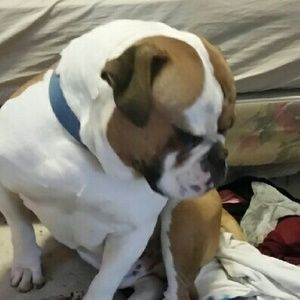 Meet your Posher, Kimberley