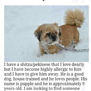 Meet your Posher, Debra