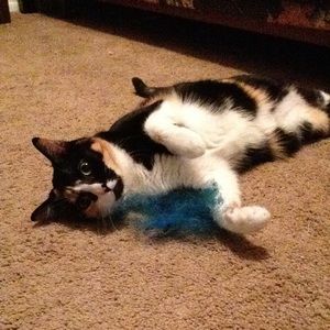 Meet your Posher, Allison