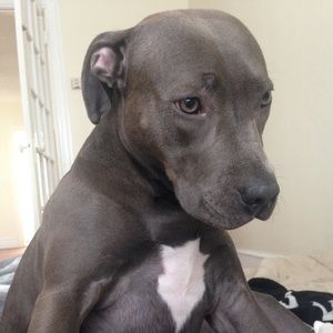 Meet your Posher, Paulina