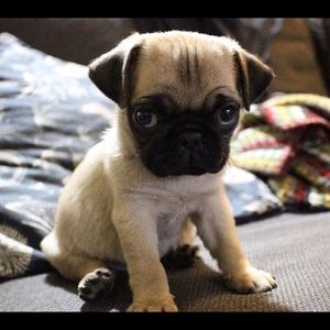 Meet your Posher, Drew