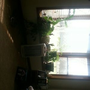 Meet your Posher, Deborah