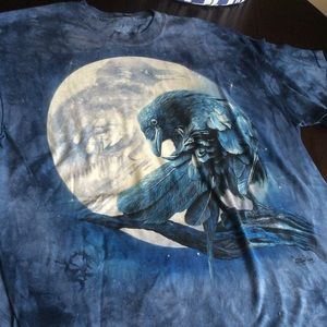 Raven shirt ( nwot )