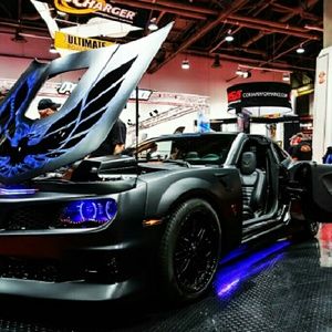 Meet your Posher, Dawn