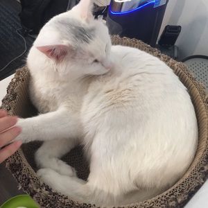 Meet your Posher, Lu