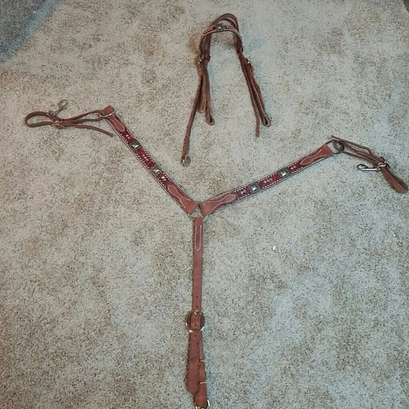 Teskey headstall set