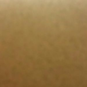 Meet your Posher, Genesis