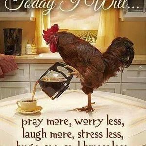 Meet your Posher, Debra