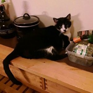 Meet your Posher, Lucy