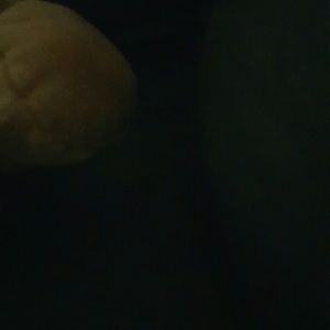 Meet your Posher, Genesis