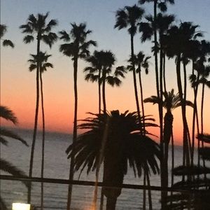 Meet your Posher, Mitzia