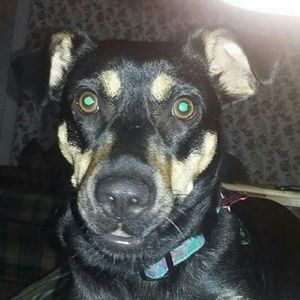 Meet your Posher, Kathy