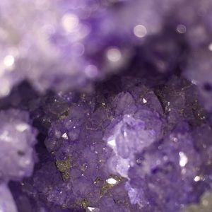 Meet your Posher, Arianna