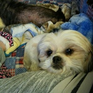 Meet your Posher, Susan