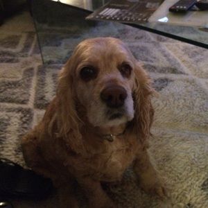 Meet your Posher, Lydia