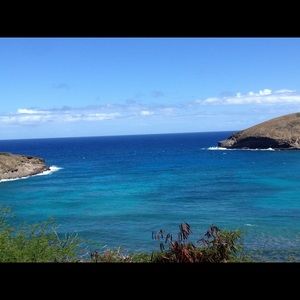 Meet your Posher, Ashton