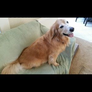 Meet your Posher, Monica