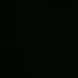 Meet your Posher, Daniela