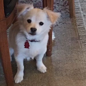 Meet your Posher, Mary