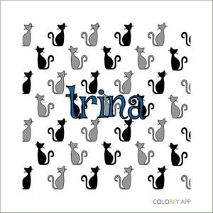 Meet your Posher, Trina