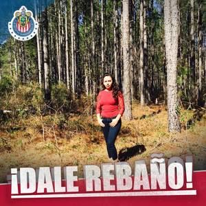 Meet your Posher, Luz