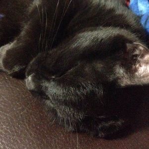 Meet your Posher, Jesse